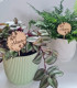 Pic à Planter personnalisé pour Fleur