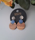 Boucles d'oreilles en bois et colorées